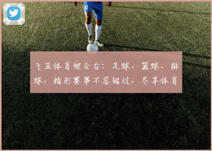 飞亚体育综合台：足球、篮球、排球，精彩赛事不容错过，尽享体育盛宴，激战正酣