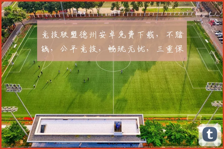 竞技联盟德州安卓免费下载，不赌钱，公平竞技，畅玩无忧，三重保障，体验非凡