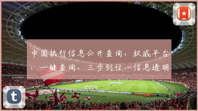 中国执行信息公开查询，权威平台，一键查询，三步到位，信息透明，放心使用，轻松掌握。