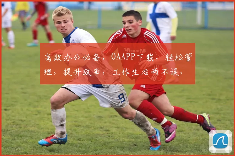 高效办公必备，OAAPP下载，轻松管理，提升效率，工作生活两不误，立即下载体验