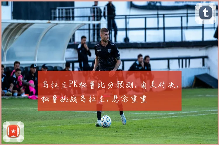 乌拉圭PK秘鲁比分预测,南美对决,秘鲁挑战乌拉圭,悬念重重